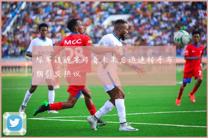 绿军追逐字母哥未果后迅速转手布朗引发热议
